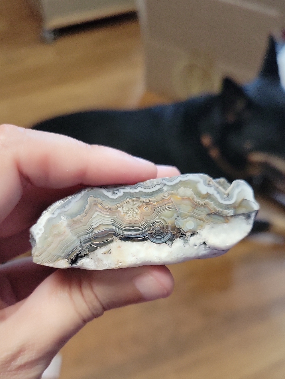 Crazy Lace Agate Slice - Crystal